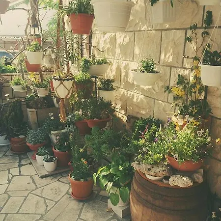 Stone House Gregov 4* Lumbarda